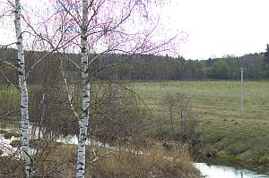 ������ ������