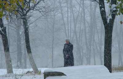 ������ ����. ����������