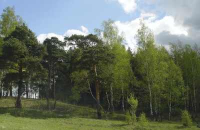 ������. ����������