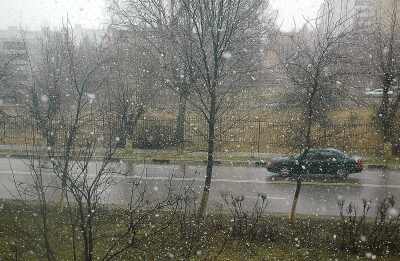 ������ ���� 2. ����������