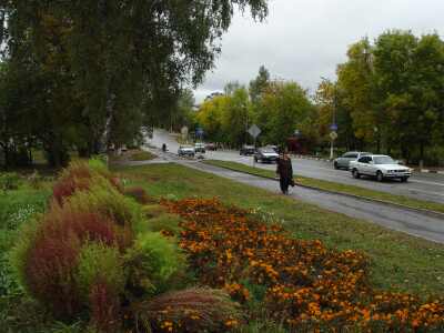 �����������. ����� 3. ����������