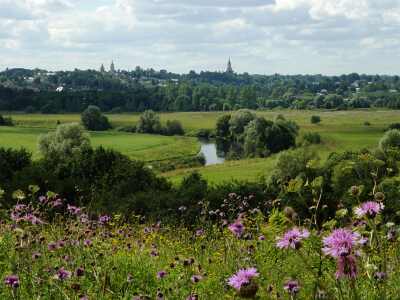 ���� 2. ����������