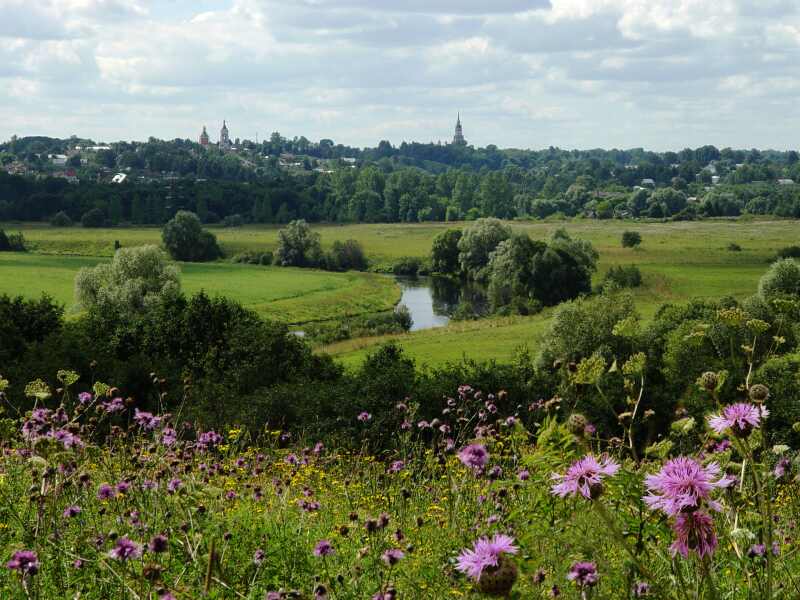 ���� 2. ����������