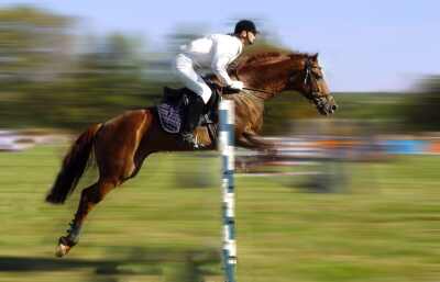 �����������. ������. ����������