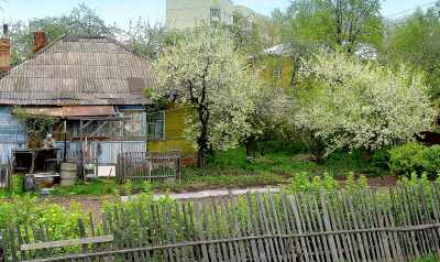 �����. ����������