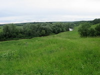 �����������. �. ������ � ������� ��������