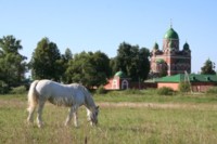 ������. �.���������