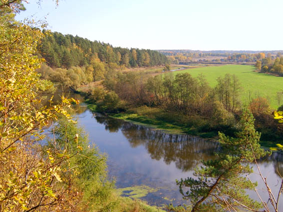 ������ ���� � �������� ������.