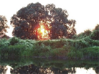 ����� � �������