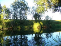 �.������