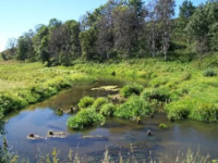 �.������