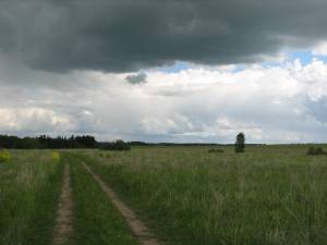 ���-�� � �.������